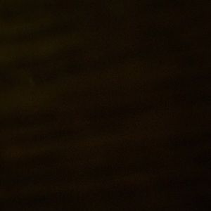 Meet your Posher, Peniel